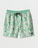 Quiksilver Mens Boardshorts Everyday Terra