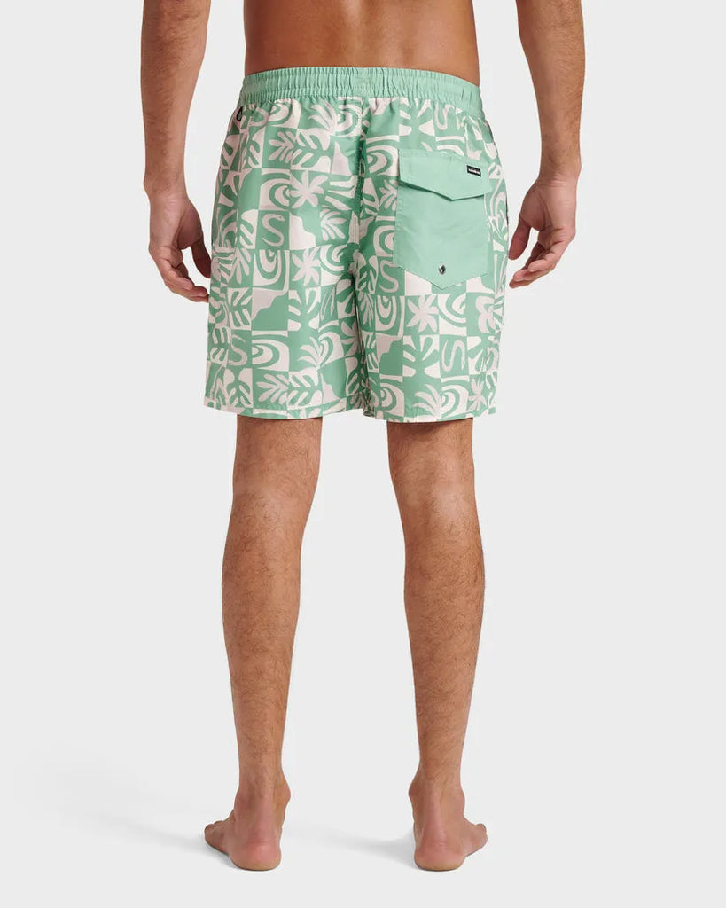 Quiksilver Mens Boardshorts Everyday Terra