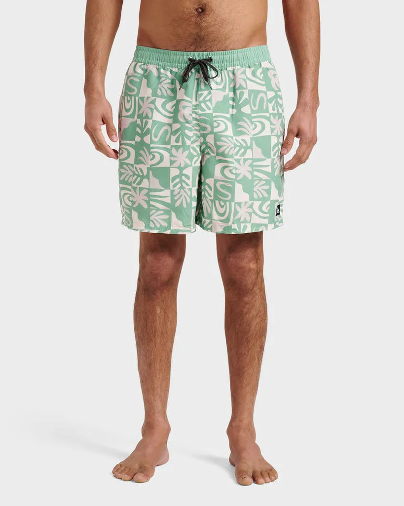 Quiksilver Mens Boardshorts Everyday Terra