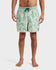Quiksilver Mens Boardshorts Everyday Terra