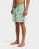 Quiksilver Mens Boardshorts Everyday Terra