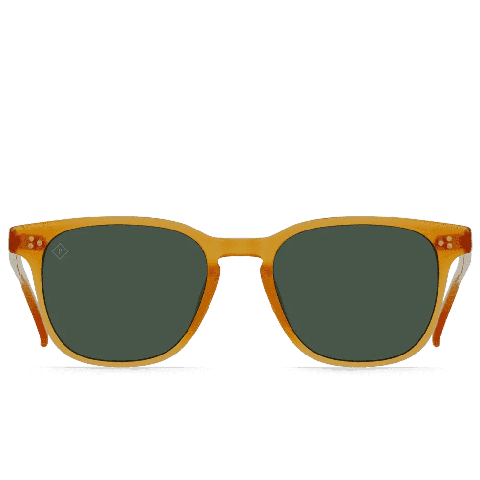 RAEN Sunglasses Alvez