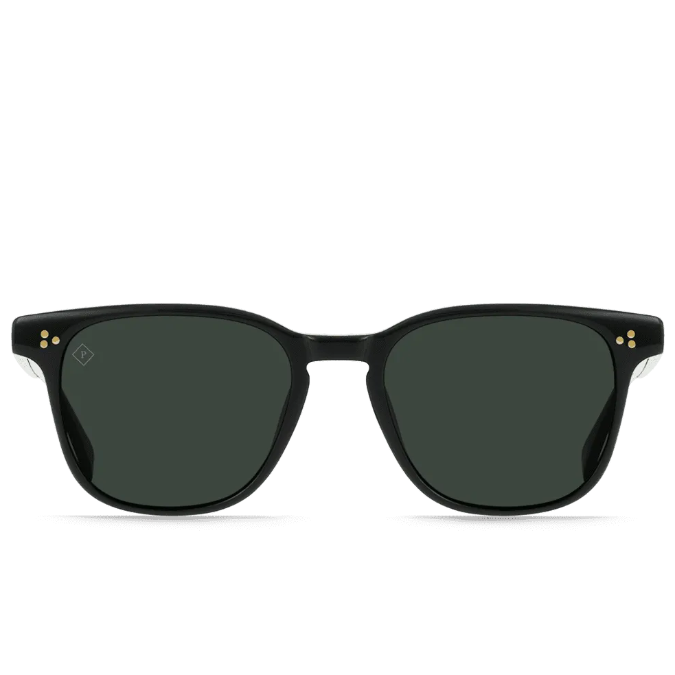 RAEN Sunglasses Alvez