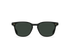 RAEN Sunglasses Alvez