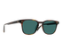RAEN Sunglasses Alvez