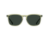 RAEN Optics Wiley 54