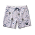 Roark Revival Mens Boardshorts Chiller 17