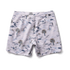 Roark Revival Mens Boardshorts Chiller 17