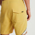 Roark Revival Mens Boardshorts Passage Y2K 17