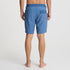 Roark Revival Mens Boardshorts Passage 18.5