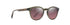 Maui Jim Sunglasses Hiehie