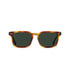 RAEN Optics Adin