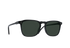 RAEN Optics Wiley 54