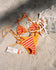 L*Space Womens Bikini Bottoms Levy