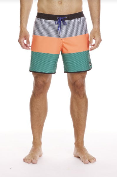 Quiksilver Mens Boardshorts Surfsilk Tijuana Volley 17