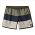 Quiksilver Mens Boardshorts Surfsilk Tijuana Volley 17