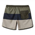 Quiksilver Mens Boardshorts Surfsilk Tijuana Volley 17