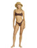 Billabong Womens Bikini Top Tanlines Jaclyn Crop