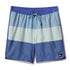 Quiksilver Mens Boardshorts Surfsilk Tijuana Volley 17