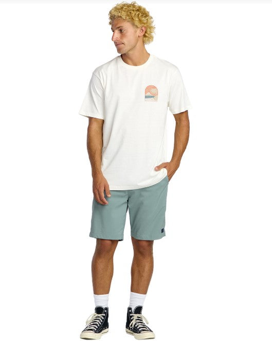 Billabong Mens Shorts Surftrek Journey 20