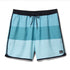Quiksilver Mens Boardshorts Surfsilk Tijuana Volley 17