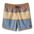 Quiksilver Mens Boardshorts Surfsilk Tijuana Volley 17