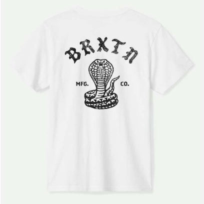 Brixton Mens Shirt Darver