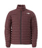 The North Face Mens Jacket Terra Peak
