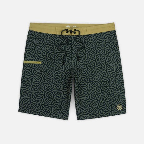 Jetty Mens Boardshorts Holyoke