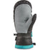 Dakine Mens Snow Mittens Team Voyager GORE-TEX