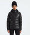 The North Face Womens Snow Jacket Summit Series Breithorn Hoodie