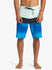 Quiksilver Mens Boardshorts Surfsilk Panel 20