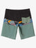 Quiksilver Mens Boardshorts Surfsilk Panel 20
