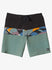 Quiksilver Mens Boardshorts Surfsilk Panel 20