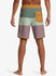 Quiksilver Mens Boardshorts Surfsilk Tijuana 19