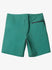 Quiksilver Mens Boardshorts Surfsilk Kaimana 20