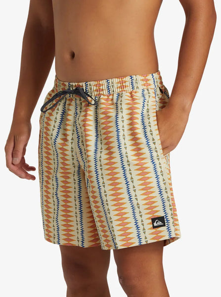 Quiksilver Mens Shorts  Remade Mix 17