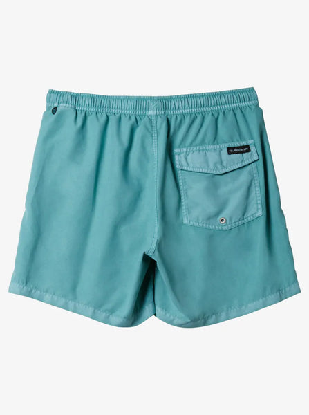 Quiksilver Mens Shorts Everyday Surfwash Volley 17