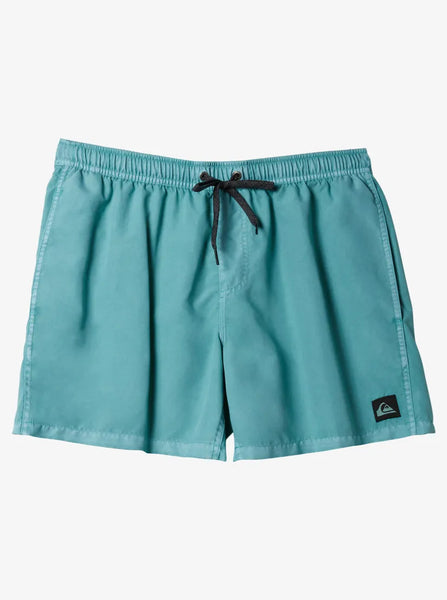 Quiksilver Mens Shorts Everyday Surfwash Volley 17