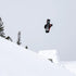 Lib Tech Mens Snowboard DPR