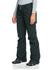 Roxy Womens Snow Pants Nadia