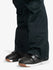 Roxy Womens Snow Pants Nadia