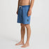 Roark Revival Mens Boardshorts Passage 18.5