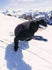 K2 Mens Skis Mindbender 99Ti
