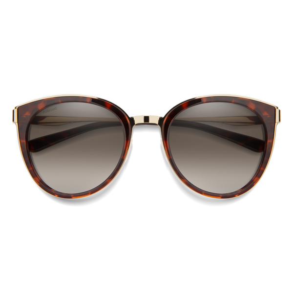 Jimmy choo dana best sale sunglasses