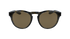 Dragon Sunglasses Opus LL Rob Machado Resin