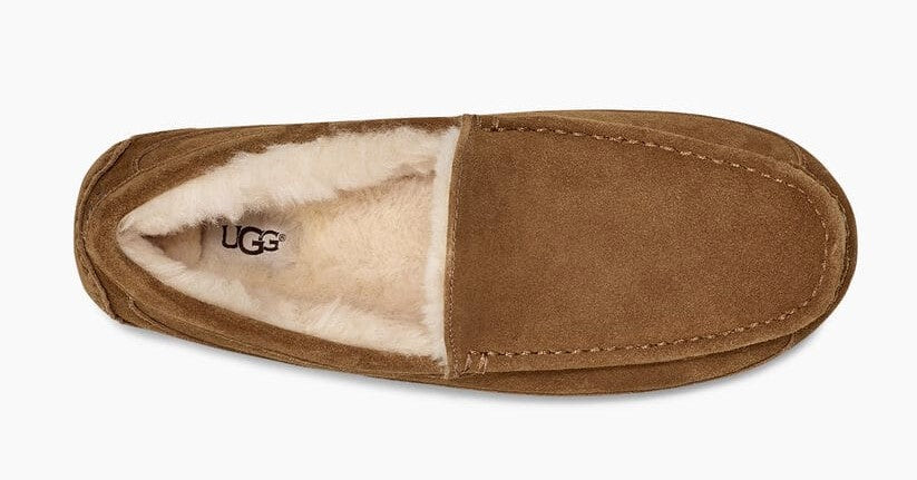 UGG Mens Slipper Ascot Suede