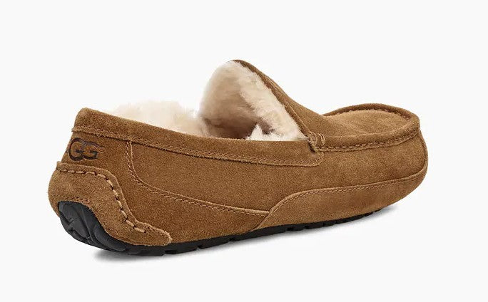 UGG Mens Slipper Ascot Suede