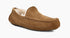 UGG Mens Slipper Ascot Suede