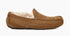 UGG Mens Slipper Ascot Suede